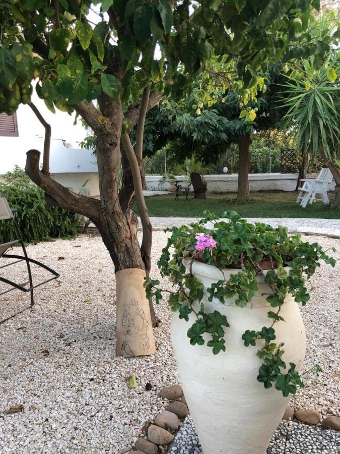 Il Gelso Nella Valle Agrigento Eksteriør bilde